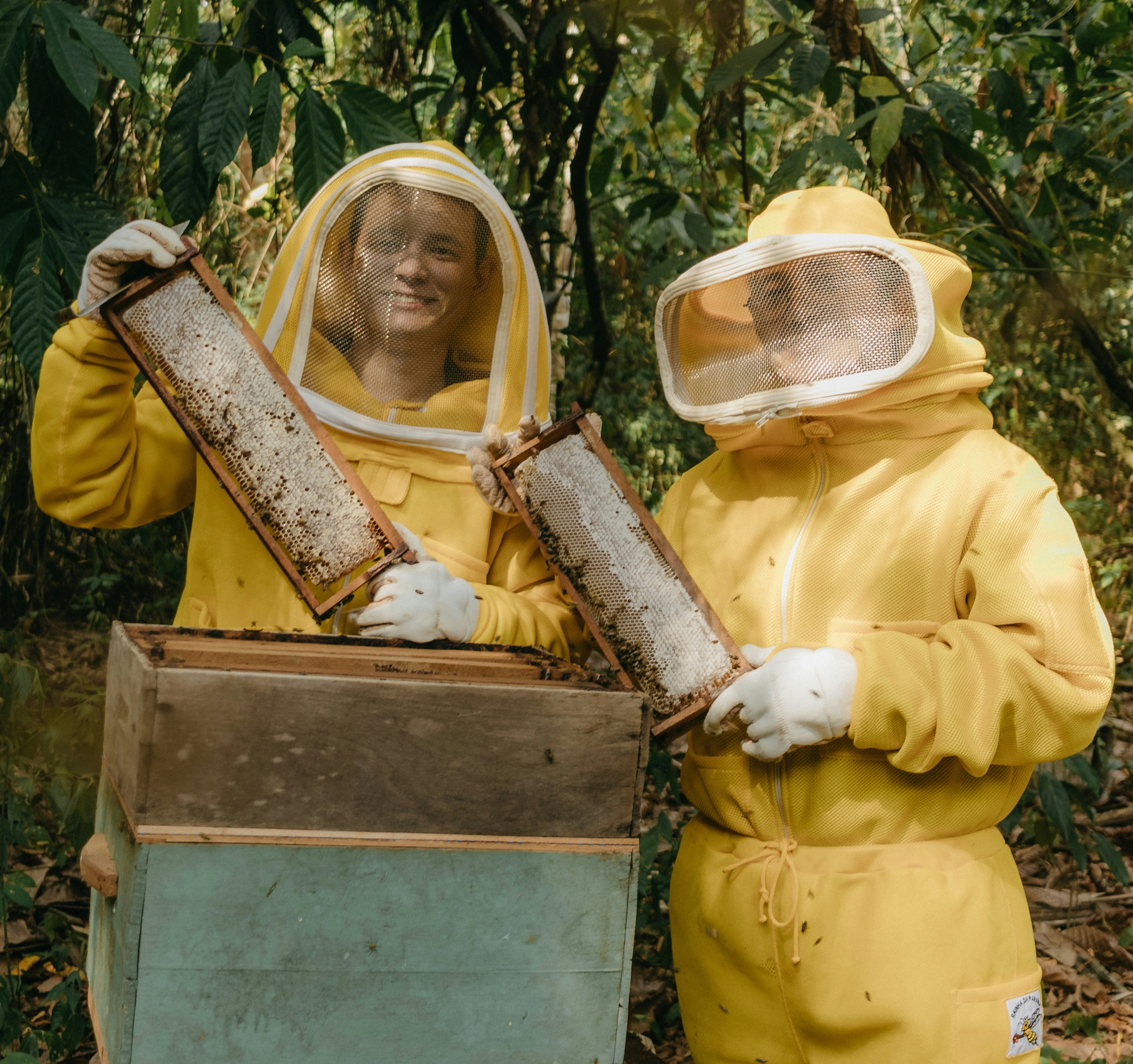 Bee Keepers
